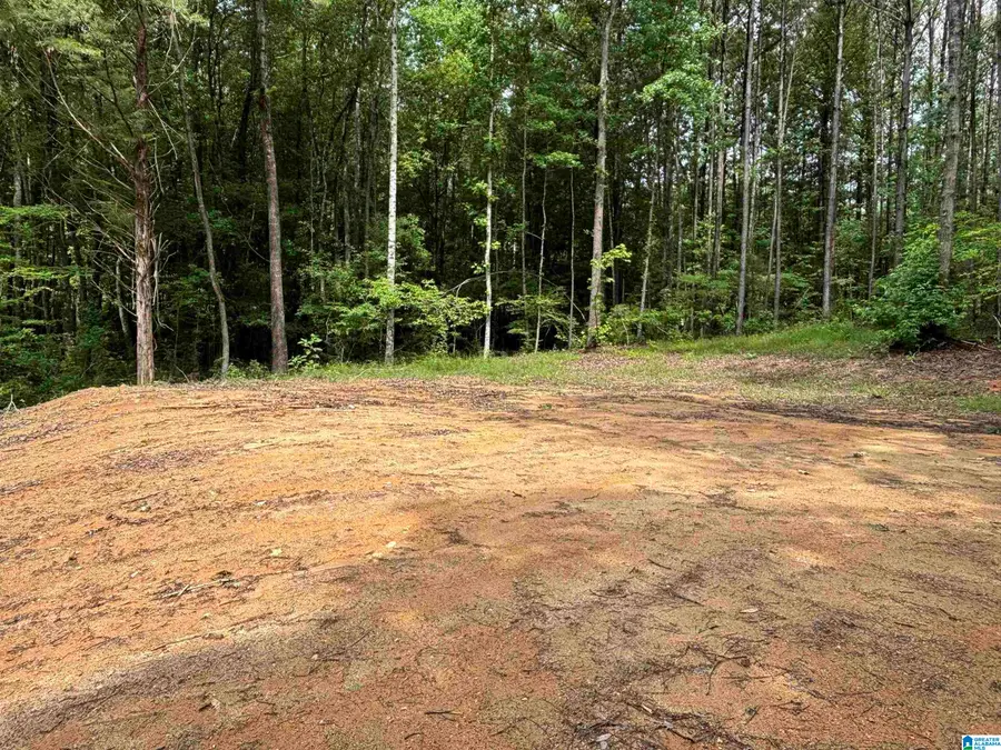 Tract 2 343 COUNTY ROAD 892, Wedowee, AL 36278 - #3