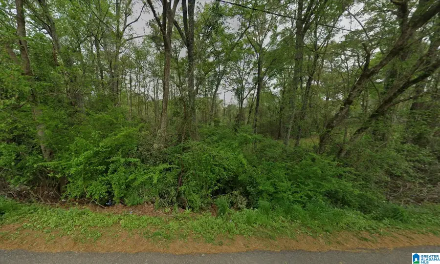 60 BRADFORD STREET, Goodwater, AL 35072 - #2