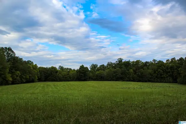 1 SAWYERS COVE ROAD, Calera, AL 35040