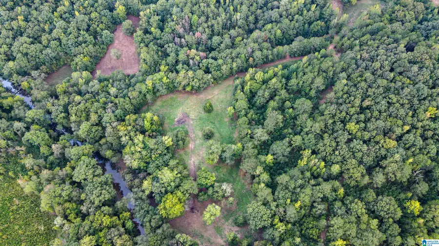 1 SAWYERS COVE ROAD, Calera, AL 35040 - #2