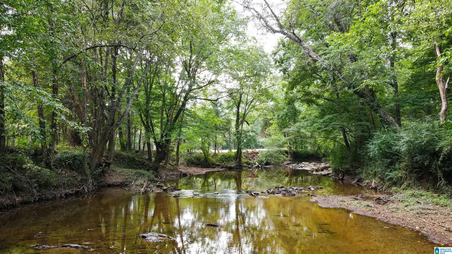 1 SAWYERS COVE ROAD, Calera, AL 35040 - #3