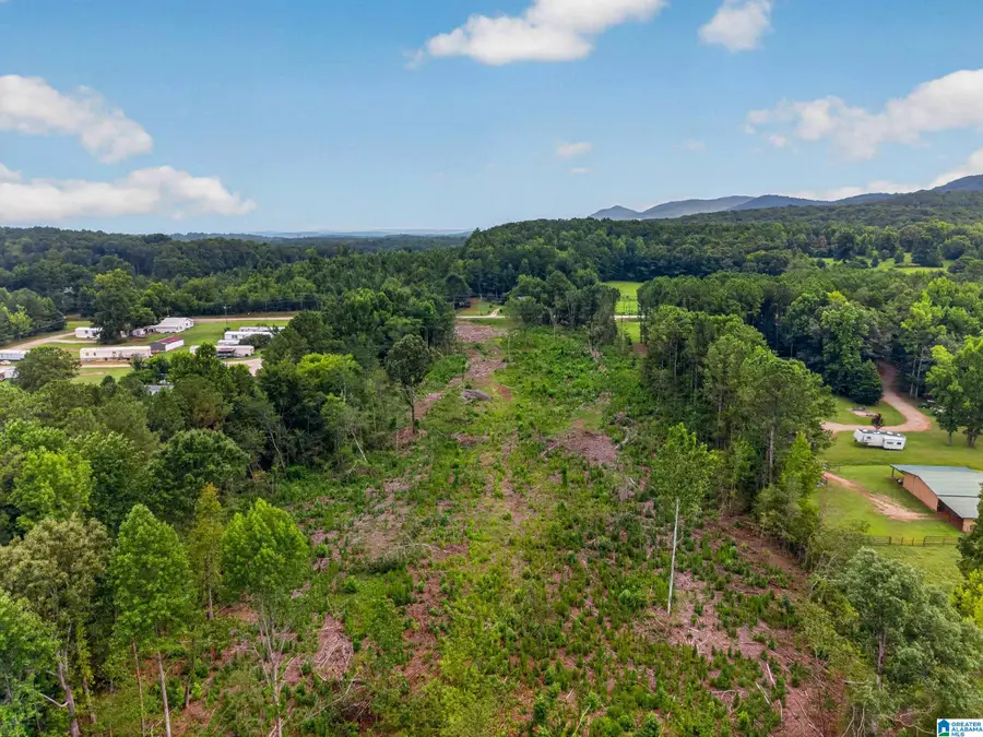 1088 WHITES GAP ROAD, Jacksonville, AL 36265 - #3