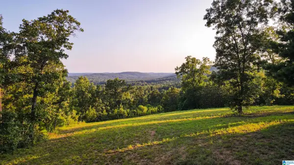 200 TABLEE LANE, Ashland, AL 36251