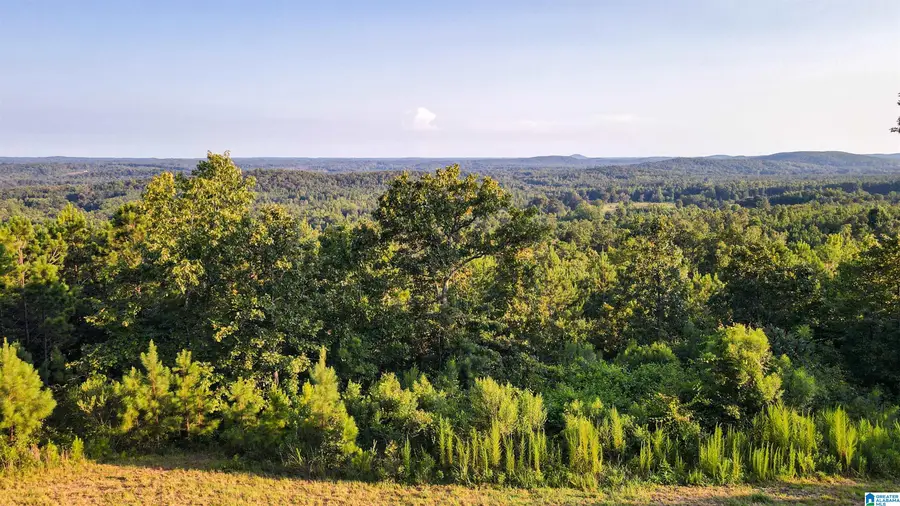 200 TABLEE LANE, Ashland, AL 36251 - #2
