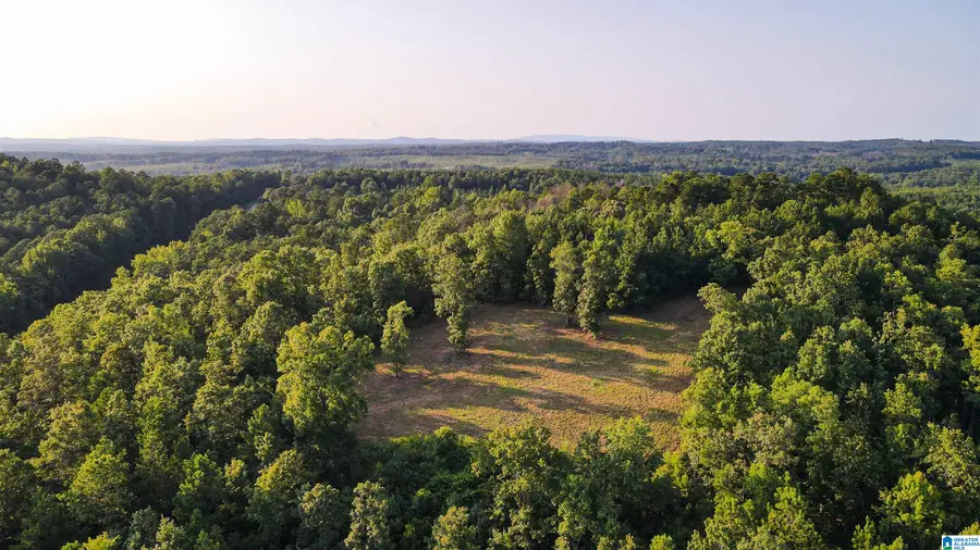 200 TABLEE LANE, Ashland, AL 36251 - #3
