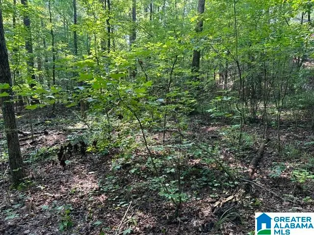 0 RENAEE CIRCLE, McCalla, AL 35111 - #2