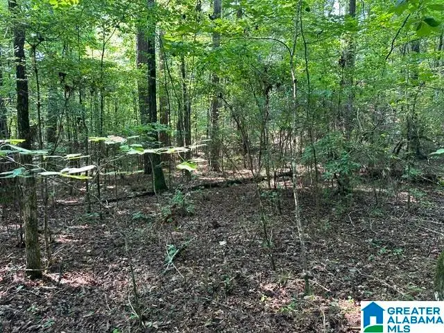 0 RENAEE CIRCLE, McCalla, AL 35111 - #3