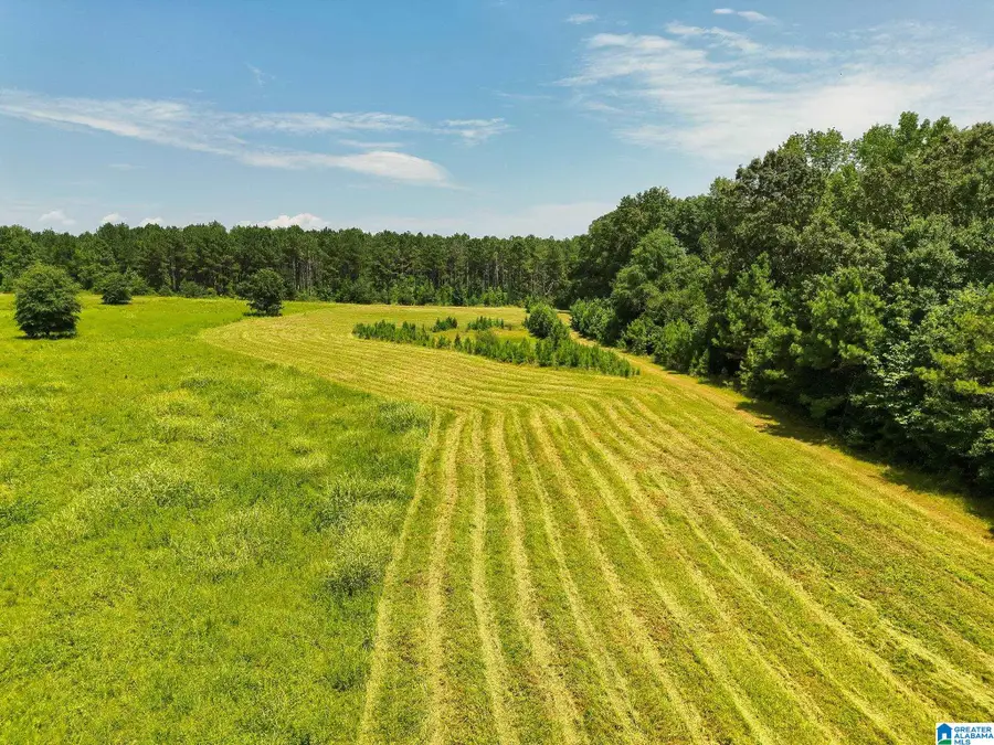 568 COUNTY ROAD 15, Autaugaville, AL 36003 - #2