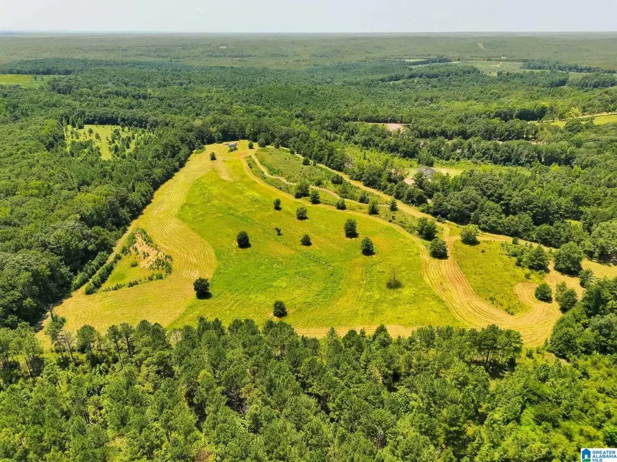 568 COUNTY ROAD 15, Autaugaville, AL 36003 - #3