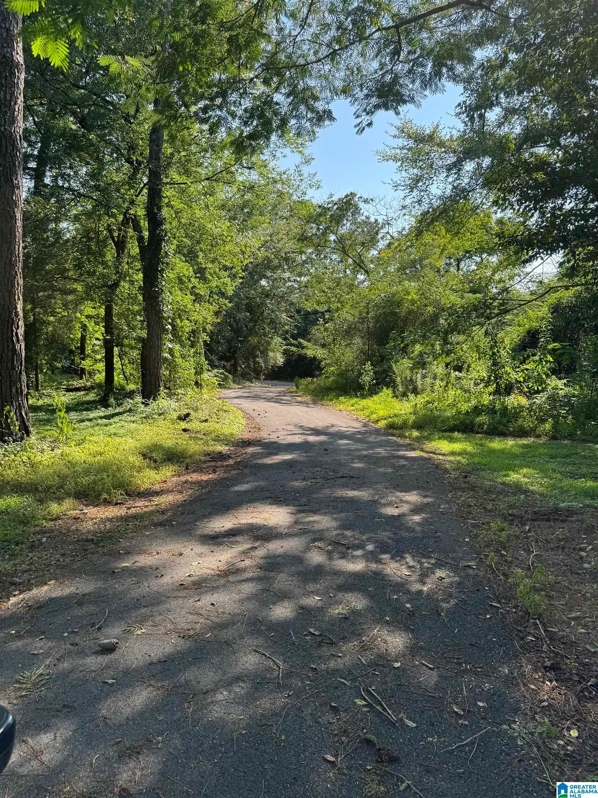 8559 BRADFORD TRAFFORD ROAD, Pinson, AL 35126 - #1