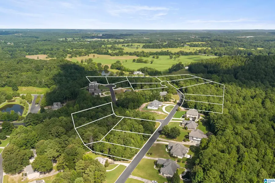 6507 IVY WALK, Greenwood, AL 35022 - #3