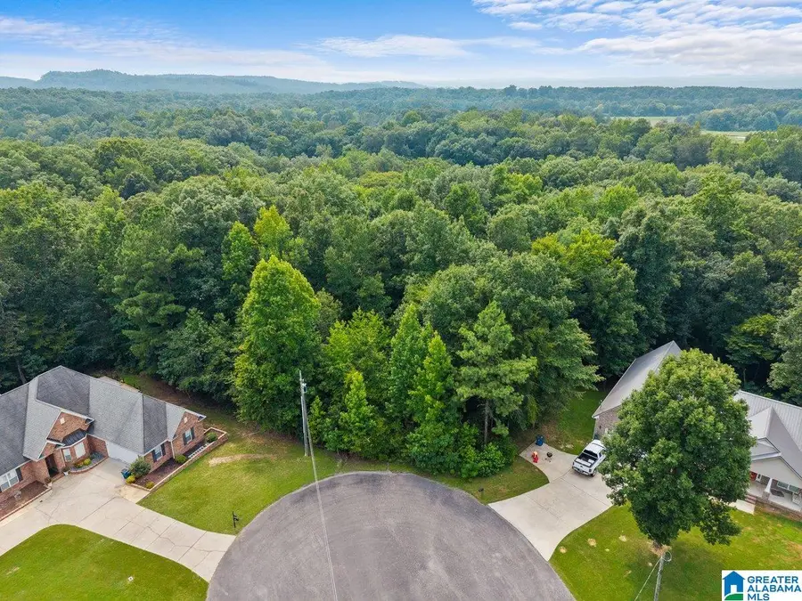 RIVERVIEW COURT, Cleveland, AL 35049 - #2