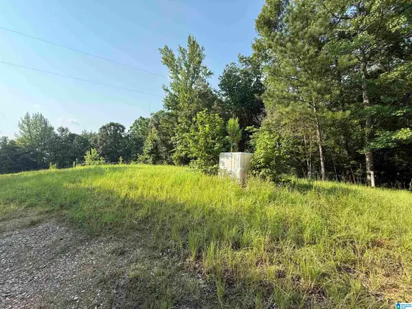 329 COOSA COUNTY ROAD 117, Goodwater, AL 35072