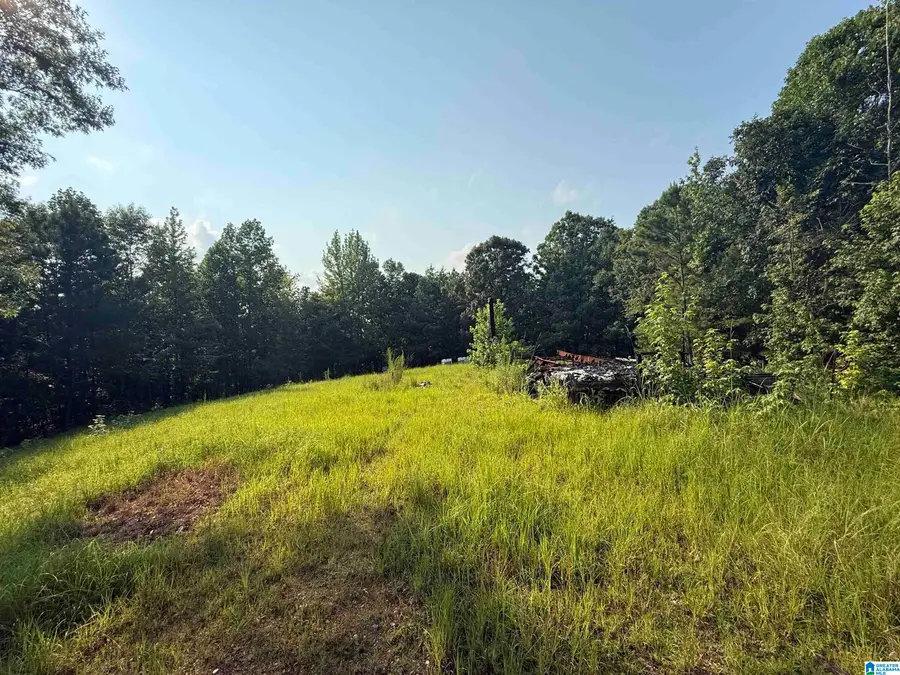 329 COOSA COUNTY ROAD 117, Goodwater, AL 35072 - #2