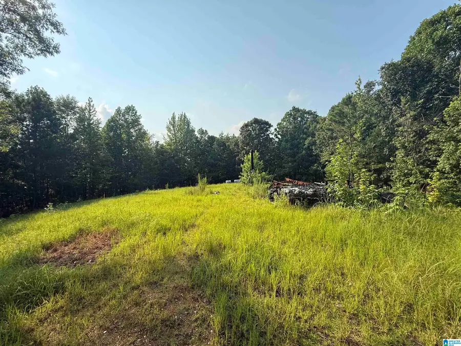 329 COOSA COUNTY ROAD 117, Goodwater, AL 35072 - #3