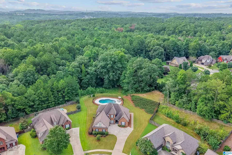 443 RIVER OAKS LANE, Helena, AL 35080 - #3