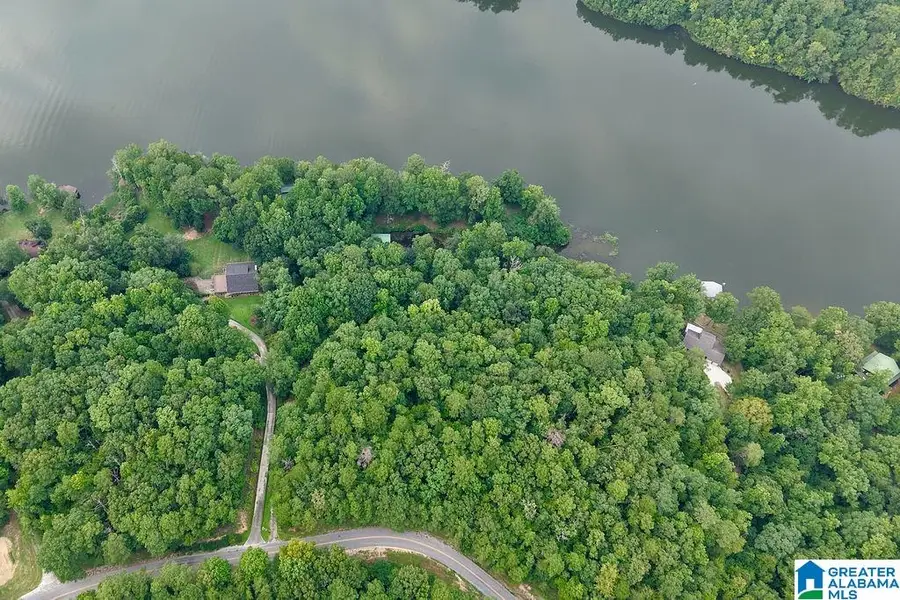 1145 COUNTY ROAD 759, Jemison, AL 35085 - #3