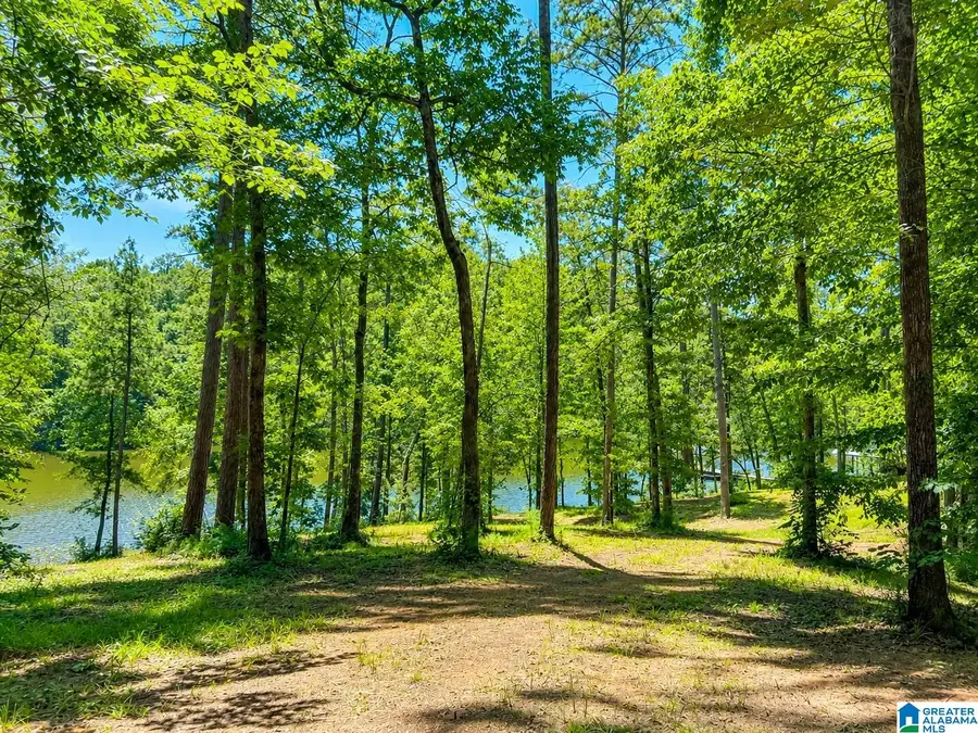 15765 HIGHWAY 145, Shelby, AL 35143 - #2