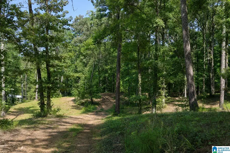 15765 HIGHWAY 145, Shelby, AL 35143 - #3