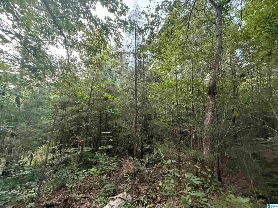 0 COUNTY ROAD 216, Thorsby, AL 35171 - #2