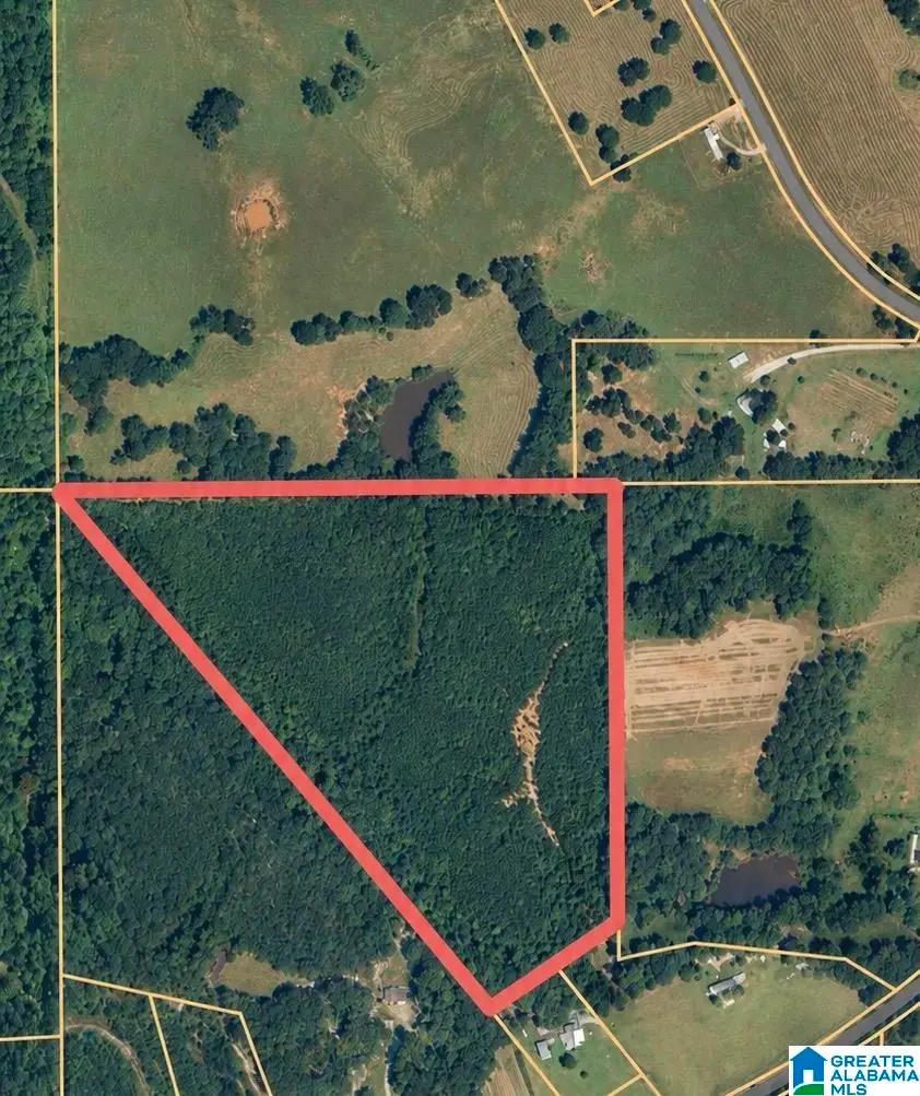 0 COUNTY ROAD 216, Thorsby, AL 35171 - #3