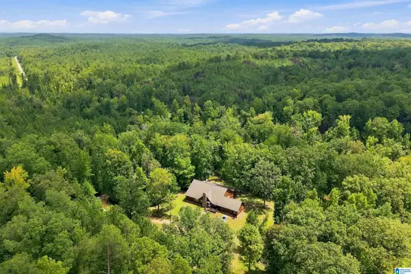 162 CRESTVIEW LANE, Centreville, AL 35042
