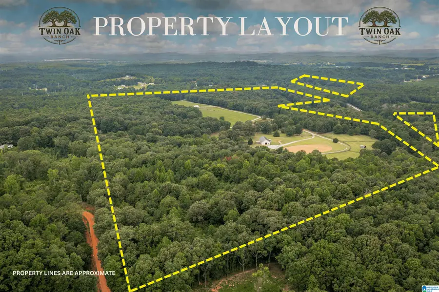 13080 JACKSON TRACE ROAD, Lincoln, AL 35096 - #2