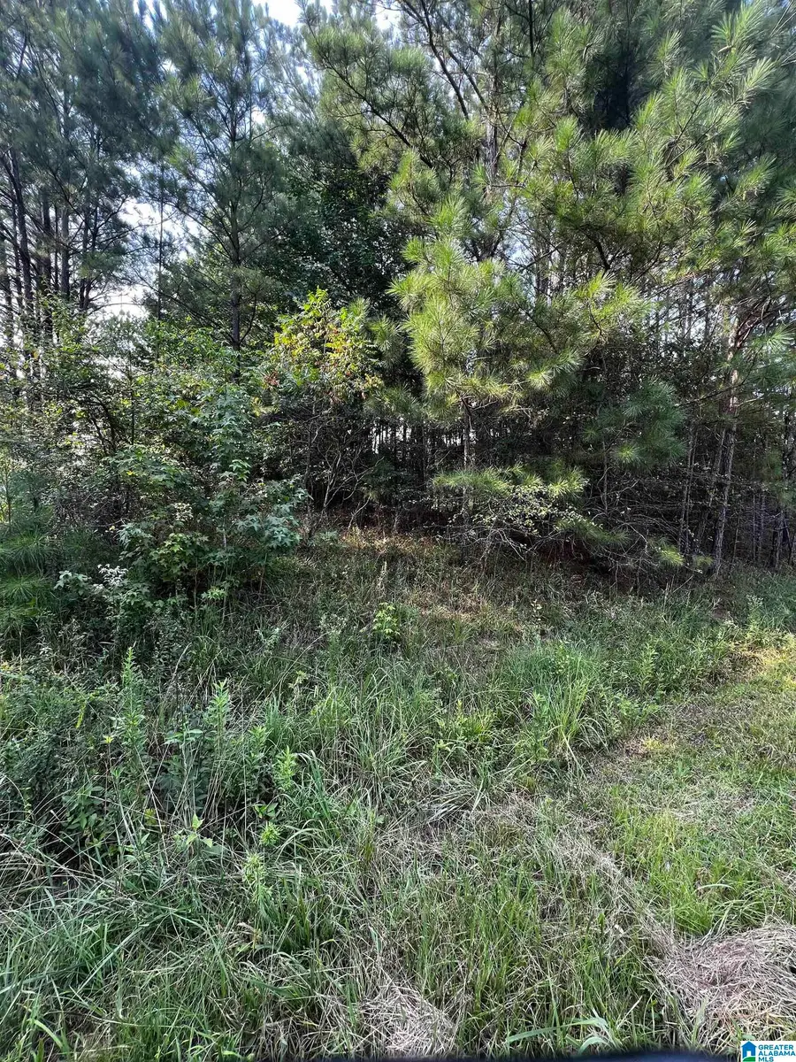 O SOLAR SHIELD BOULEVARD, Odenville, AL 35120 - #2