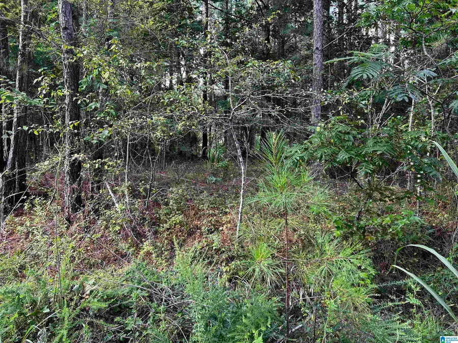 O SOLAR SHIELD BOULEVARD, Odenville, AL 35120 - #3