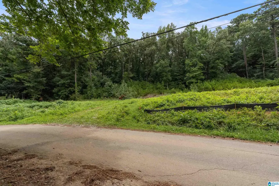 3037 VANCE STREET, Pelham, AL 35124 - #2