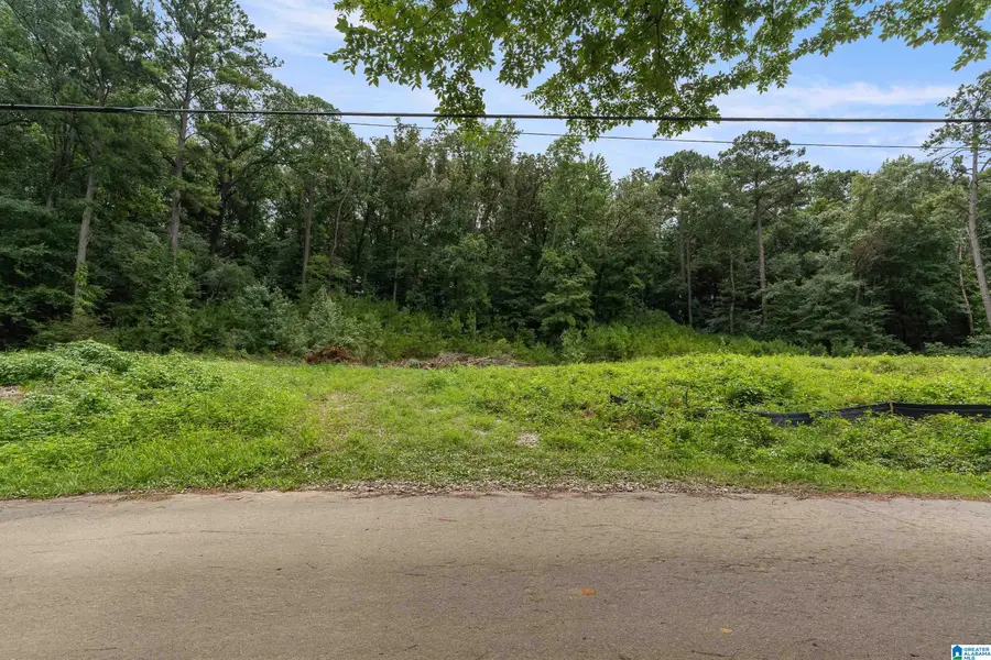 3037 VANCE STREET, Pelham, AL 35124 - #3