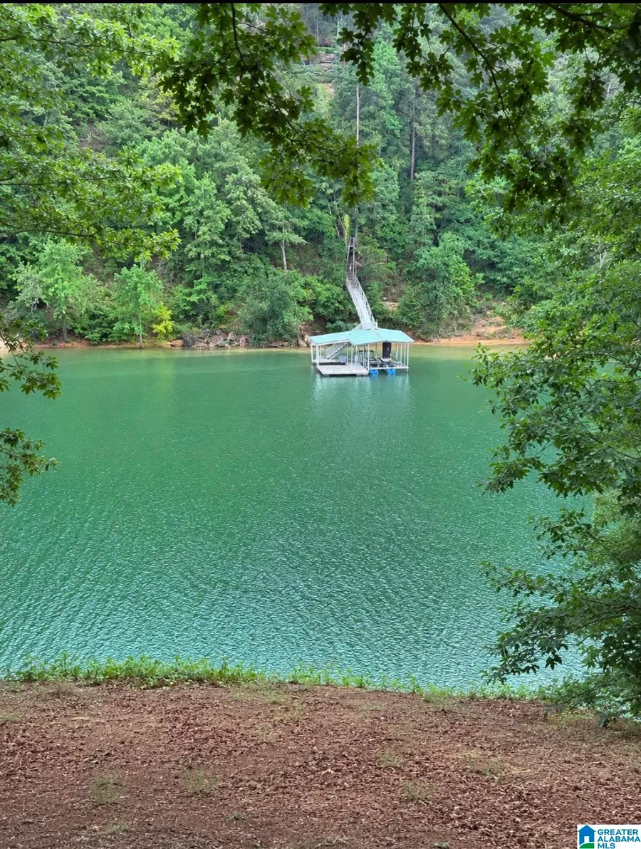 DREAM CATCHER CIRCLE, Arley, AL 35541 - #2