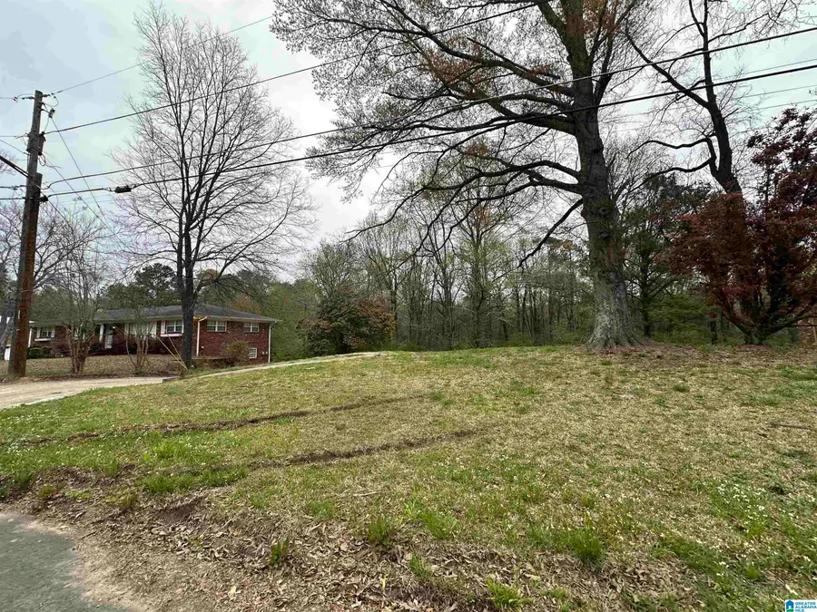 1137 1ST AVENUE, Pleasant Grove, AL 35127 - #3