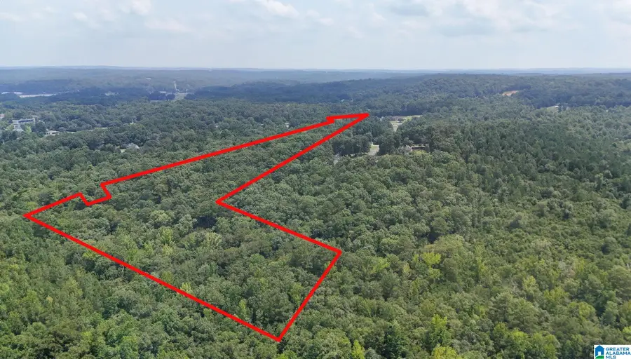 12699 WOOD ESTATES ROAD, Northport, AL 35475 - #2