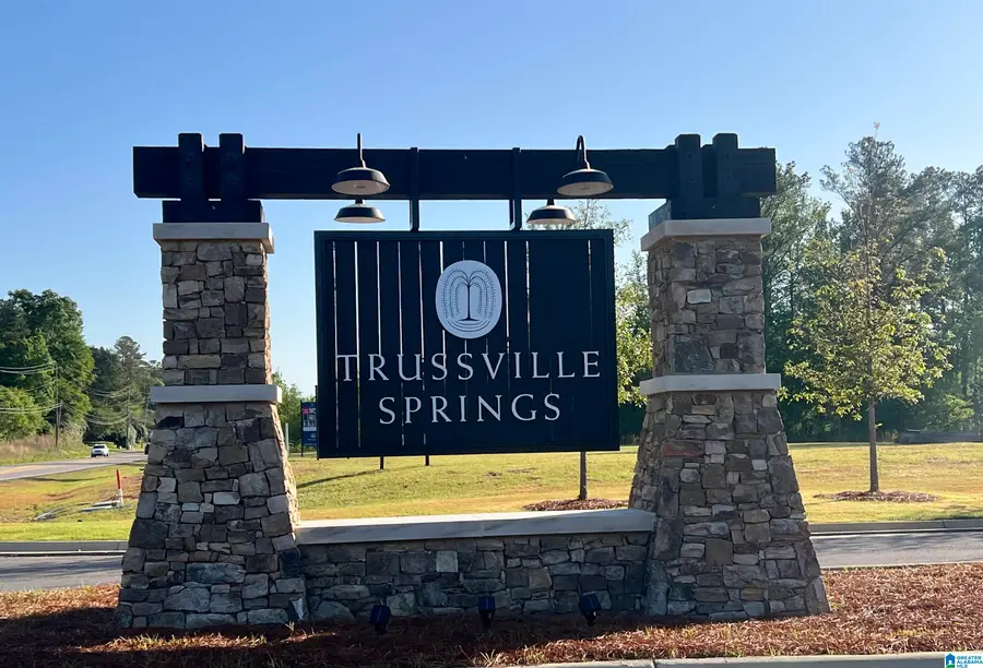6539 SPRING STREET, Trussville, AL 35173 - #2