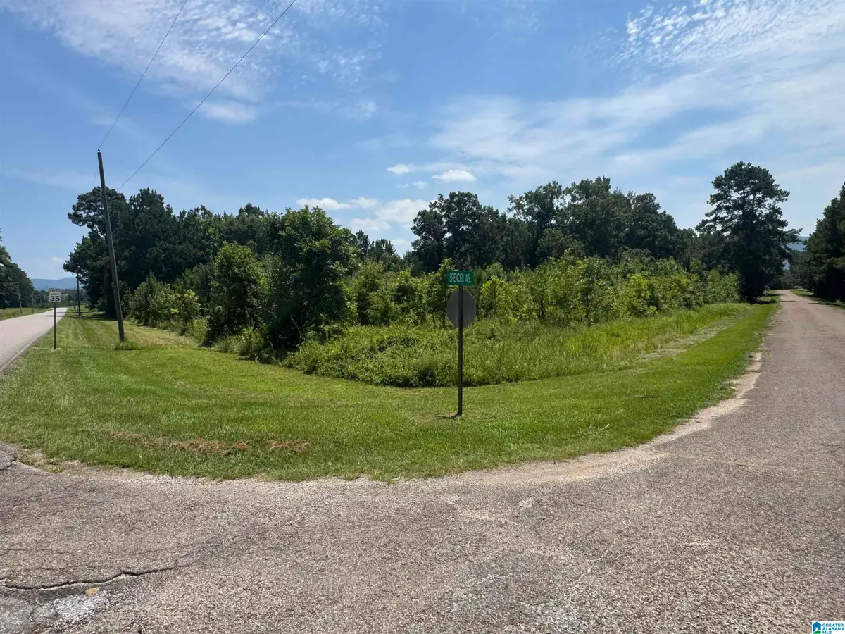 7 Acres SPENCER AVENUE, Piedmont, AL 36272 - #1