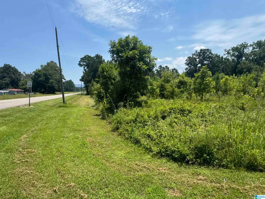 7 Acres SPENCER AVENUE, Piedmont, AL 36272 - #3