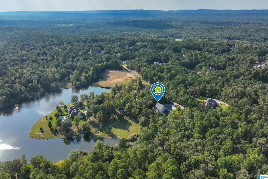 274 BONNIE BLUE LANE, Chelsea, AL 35043 - #2
