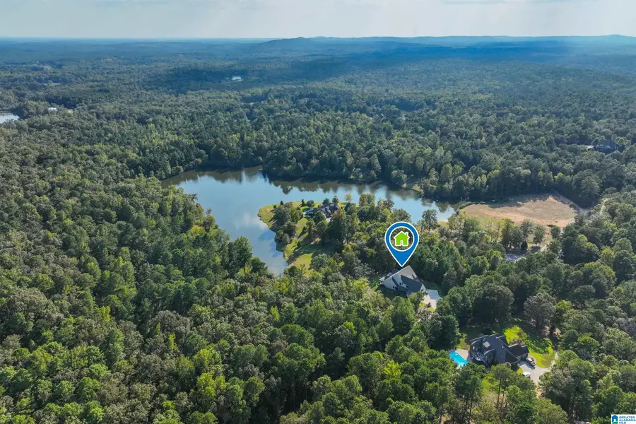 274 BONNIE BLUE LANE, Chelsea, AL 35043 - #3
