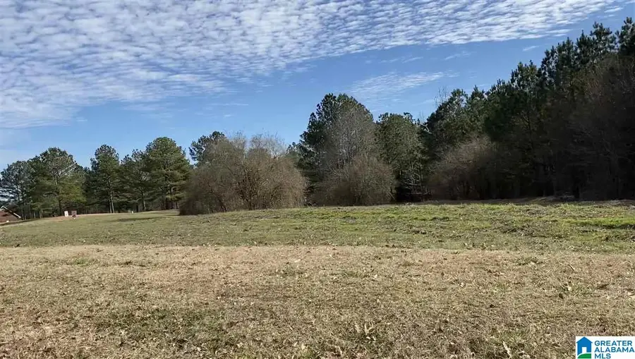 Lot 5 COUNTY ROAD 70, Thorsby, AL 35171 - #3