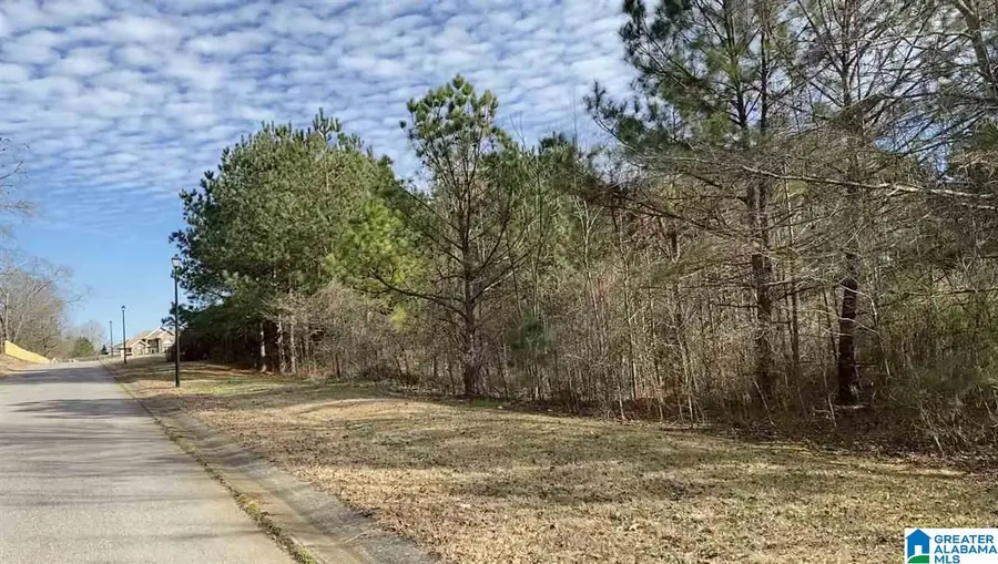 Lot 13 COUNTY ROAD 70, Thorsby, AL 35171 - #2