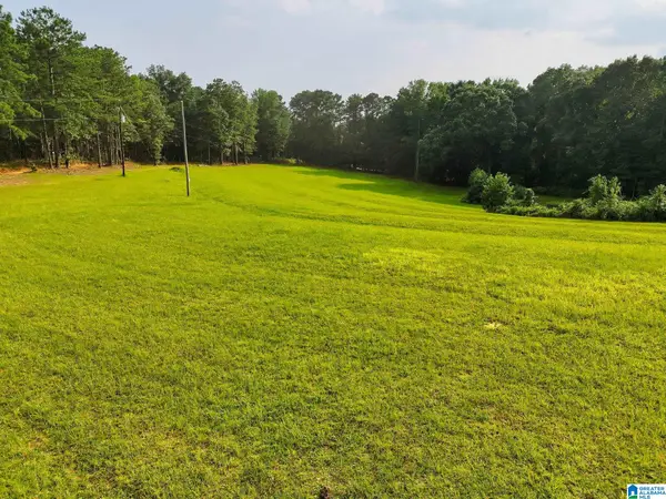 00 COUNTY ROAD 133, Jemison, AL 35085