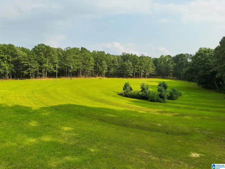 00 COUNTY ROAD 133, Jemison, AL 35085 - #2