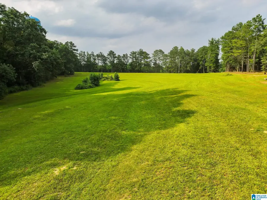 00 COUNTY ROAD 133, Jemison, AL 35085 - #3