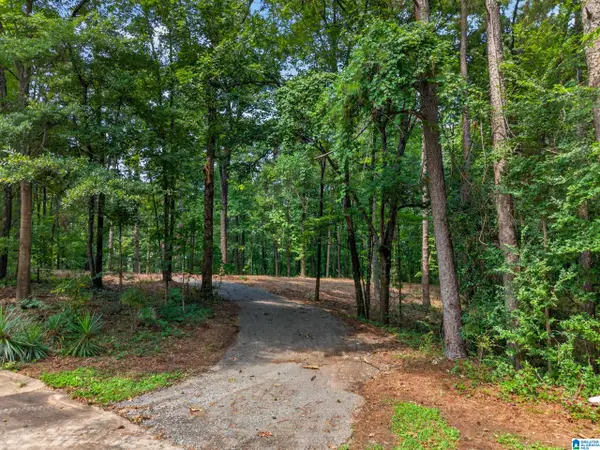 0 HILLTOP STREET, Pell city, AL 35125