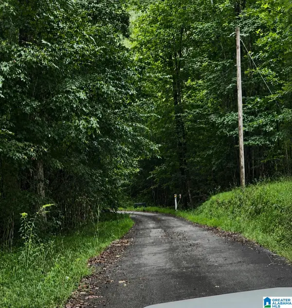 18818 US HIGHWAY 411, Springville, AL 35146