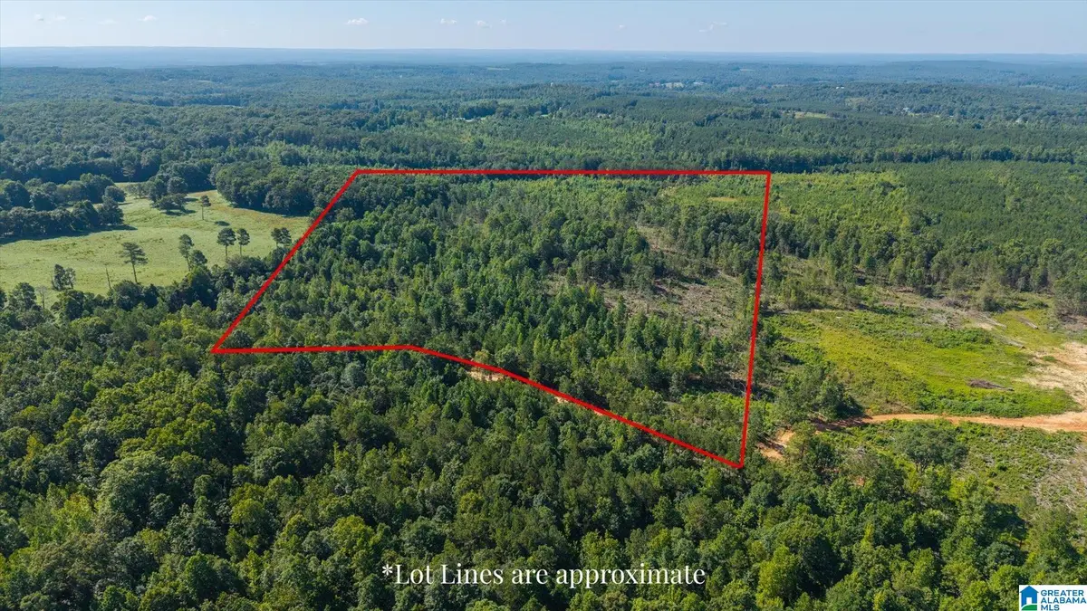 0 COUNTY ROAD 404, Heflin, AL 36264 - #1