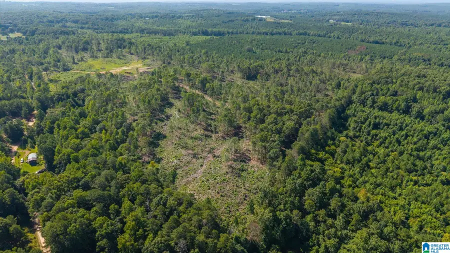 0 COUNTY ROAD 404, Heflin, AL 36264 - #3