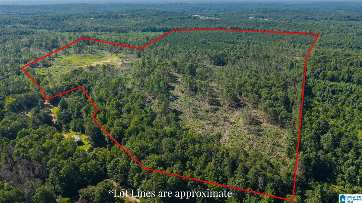 0 COUNTY ROAD 404, Heflin, AL 36264 - #1