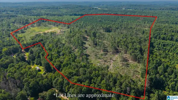 0 COUNTY ROAD 404, Heflin, AL 36264